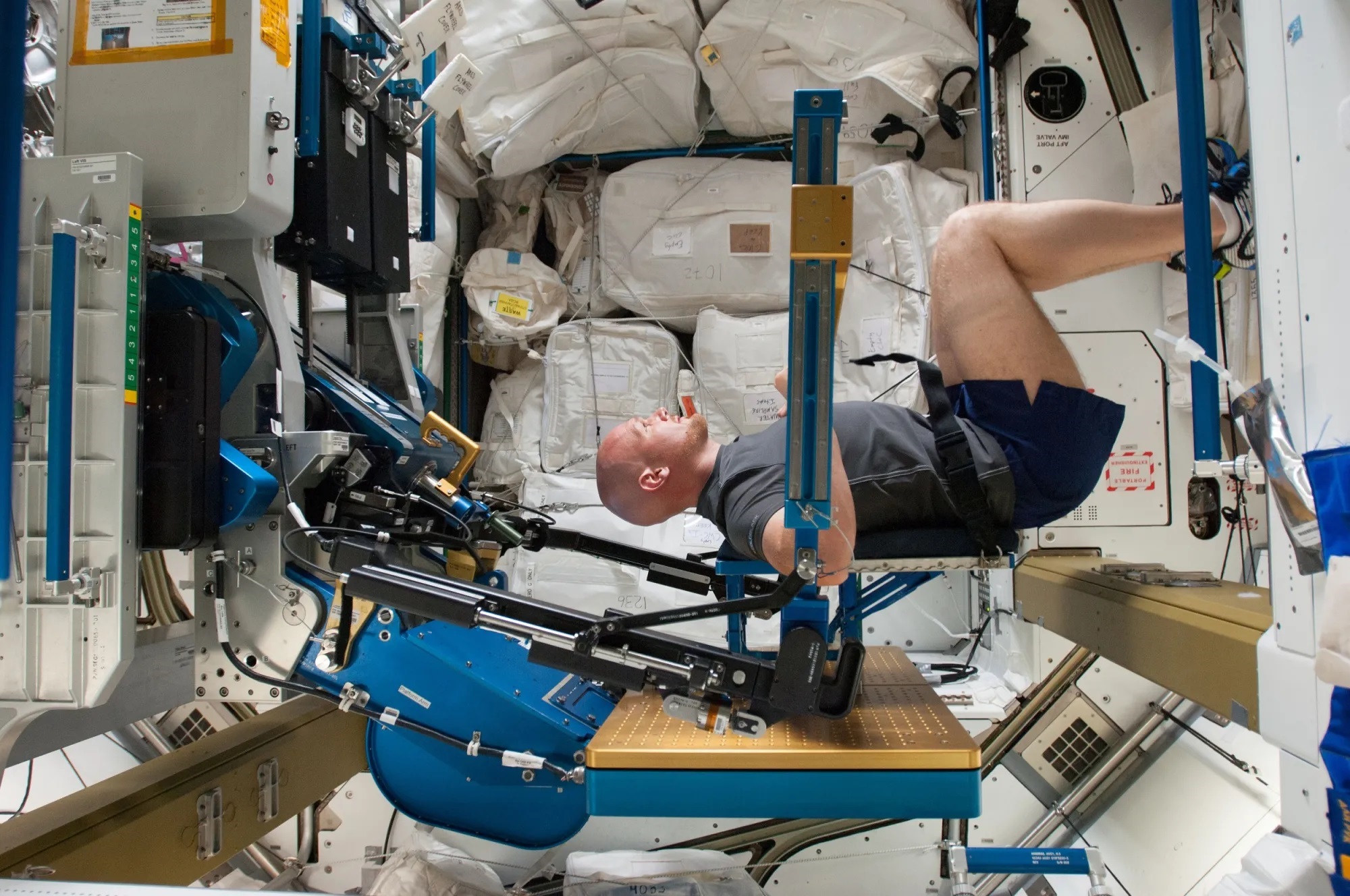 Astronaut exercising in space