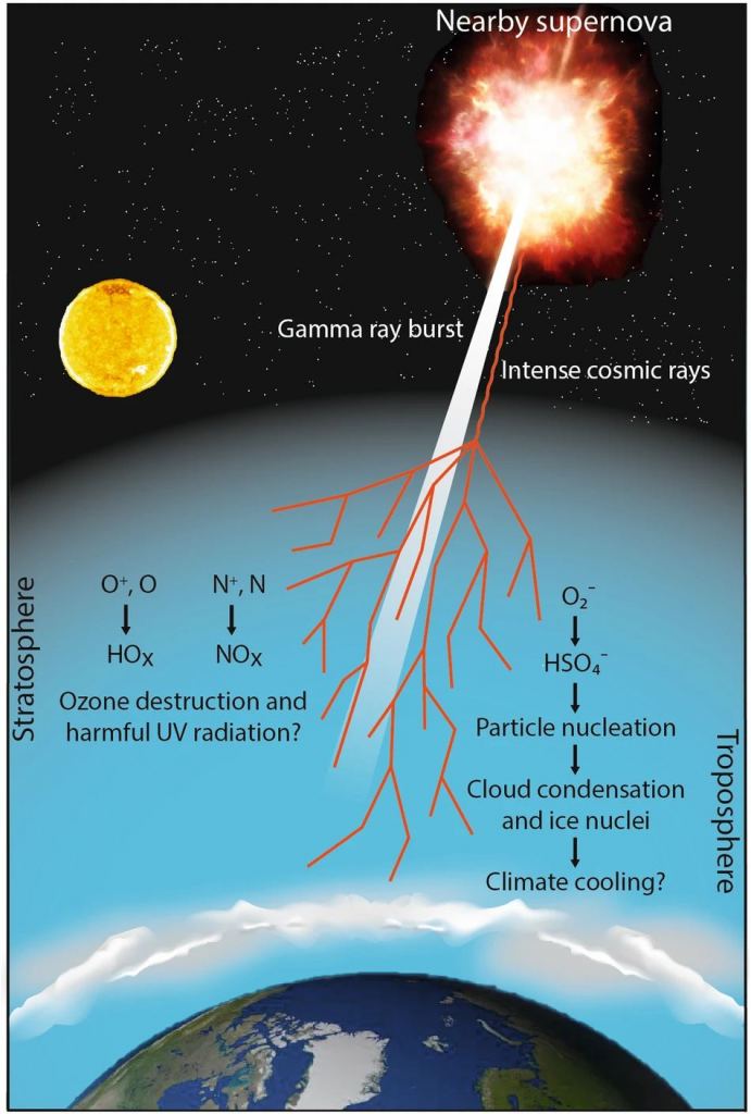 This graphic from the research article shows the potential atmospheric and climate impacts of a nearby supernova. Gamma rays can deplete the ozone, allowing more UV radiation to reach Earth's surface. Some UV radiation is ionizing, meaning it can damage DNA. Cosmic rays can also create more condensation nuclei, meaning more clouds and potential global cooling, Image Credit: Christoudias et al. 2024 