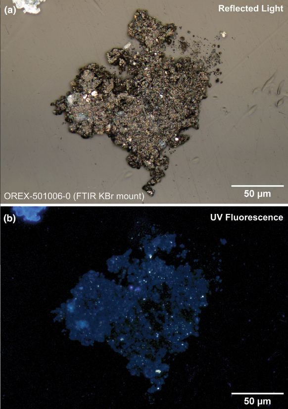 This figure from the research shows a reflected light image (a) and a UV fluorescence image (b) of a portion of the Bennu sample. The UV fluorescence microscopy image shows the distribution of carbonates and phosphates (blue fluorescence) and organic nanoglobules (yellow fluorescence). Image credit: Lauretta et al. 2024.