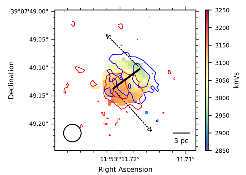 This figure from the research shows an intensity-weighted velocity field of HCN in ESO 320-G030's nucleus. The authors write, "The rough location and direction of the outflow is indicated by the dashed arrows." The contours in the figure show that the HCN-vib emission is "extended along the outflow and that the outflow is launched from similarly rotating sides of the nucleus." Image Credit: Gorski et al. 2024