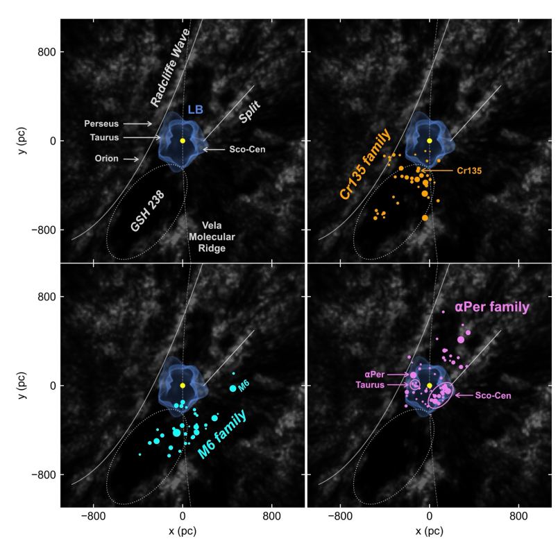 This figure from the research shows three star cluster families and other local features on a dust map. The dust is shown in grey, and two prominent dust features, the Vela Molecular Ridge and the Radcliffe Wave, are labelled. The Sun is the yellow dot, and the Local Bubble is shown in blue. (Interactive Version Here.) Image Credit: Swiggum et al. 2024. 