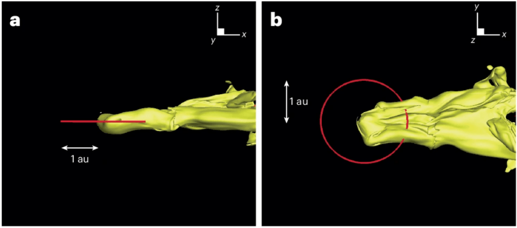 These images from the simulations show the heliosphere being distorted by passage through the tail of the Local Lynx of Cold Clouds. a is a side view, and b is a top view. The red circle shows Earth's orbit around the Sun. The simulations show that for a period of time, Earth was outside of the Sun's protective heliosphere. Image Credit: Opher et al. 2024.