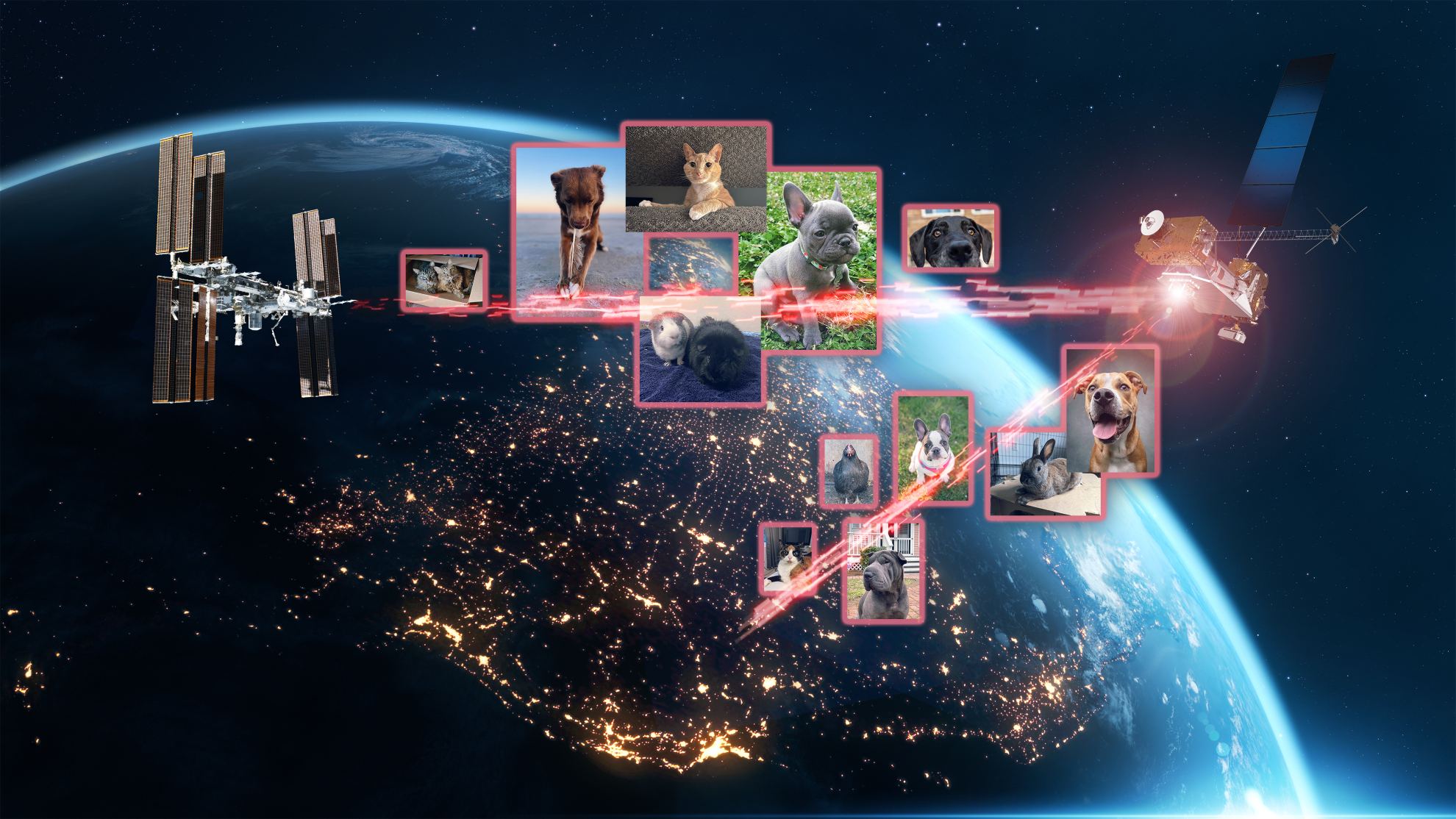 A collage of the pet photos sent over laser links from Earth to LCRD (Laser Communications Relay Demonstration) to ILLUMA-T (Integrated LCRD Low Earth Orbit User Modem and Amplifier Terminal) on the space station. Credit: NASA/Dave Ryan