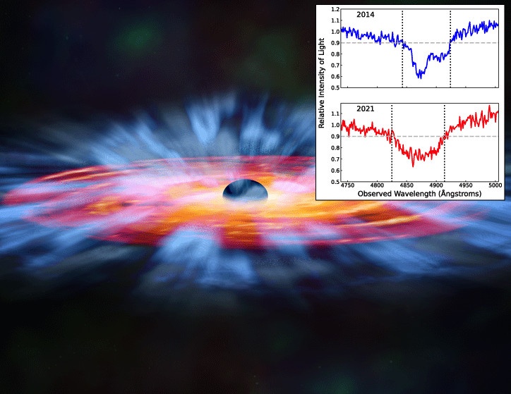 An artist’s impression of a quasar wind (in light blue) being launched off of the accretion disk (red-orange) around a supermassive black hole. Inset at right are two spectra from the quasar SBS 1408+544, showing the leftward shift of absorbed light that revealed the acceleration of gas pushed by quasar winds. Image: NASA/CXC/M. Weiss, Catherine Grier and the SDSS collaboration