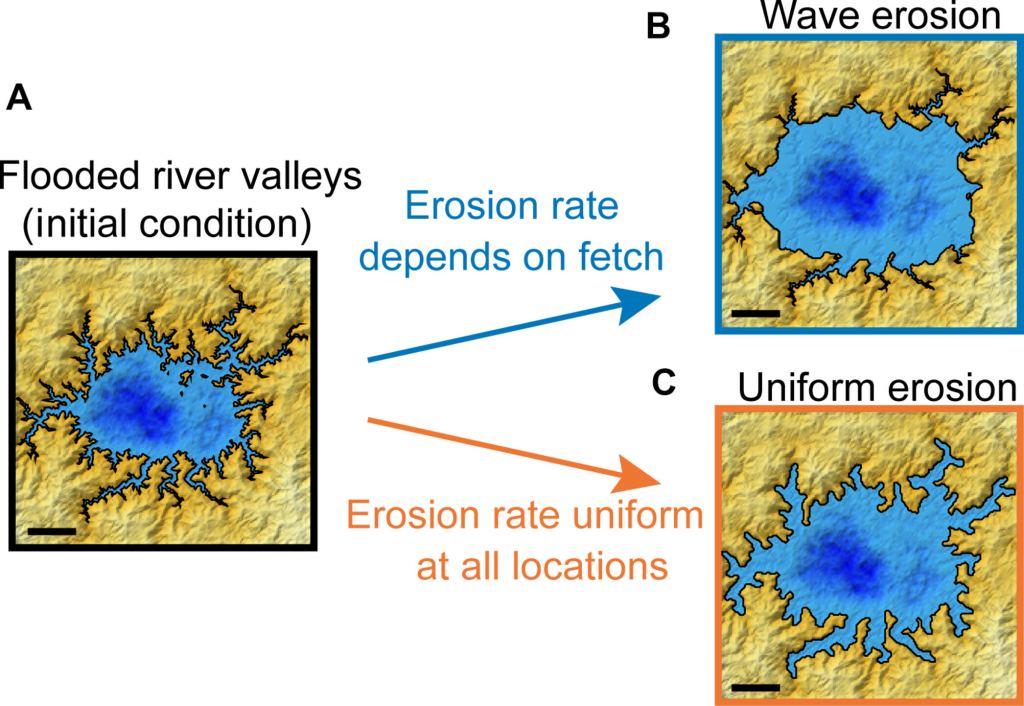This figure from the research illustrates how the two types of erosion would shape shorelines. The images are based on simulated Titan landforms and shorelines. A shows the initial condition of Titan's water bodies, where rivers carved out channels, and rising seas flooded them. B shows the morphology that wave erosion would produce, where the erosion rate depends on fetch. C shows the morphology that Uniform erosion would produce, where the erosion is uniform in all locations. Darker blue indicates deeper water and lighter yellow indicates higher land. Image Credit: Palermo et al. 2024.