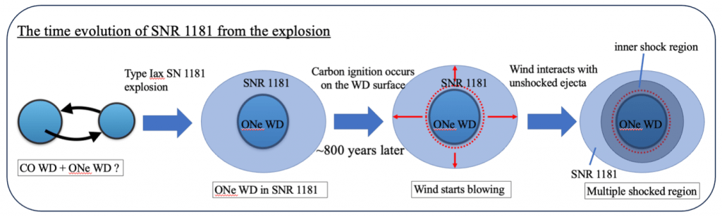  The evolution of SNR 1181. This illustration charts the evolution of the SNR 1181 remnant, from its creation when a carbon-oxygen-based white dwarf and oxygen-neon white dwarf merged in a kilonova, to the formation of its two shock regions. © 2024 T. Ko