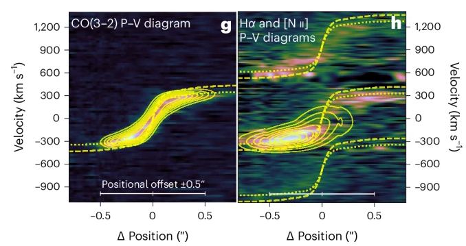 These velocity maps clearly show a coherent rotating gaseous ring structure in PJ0116-24. If the galaxy's rapid SFR were because of a merger, no such orderly structure would be present. Image Credit: Liu et al. 2024. 