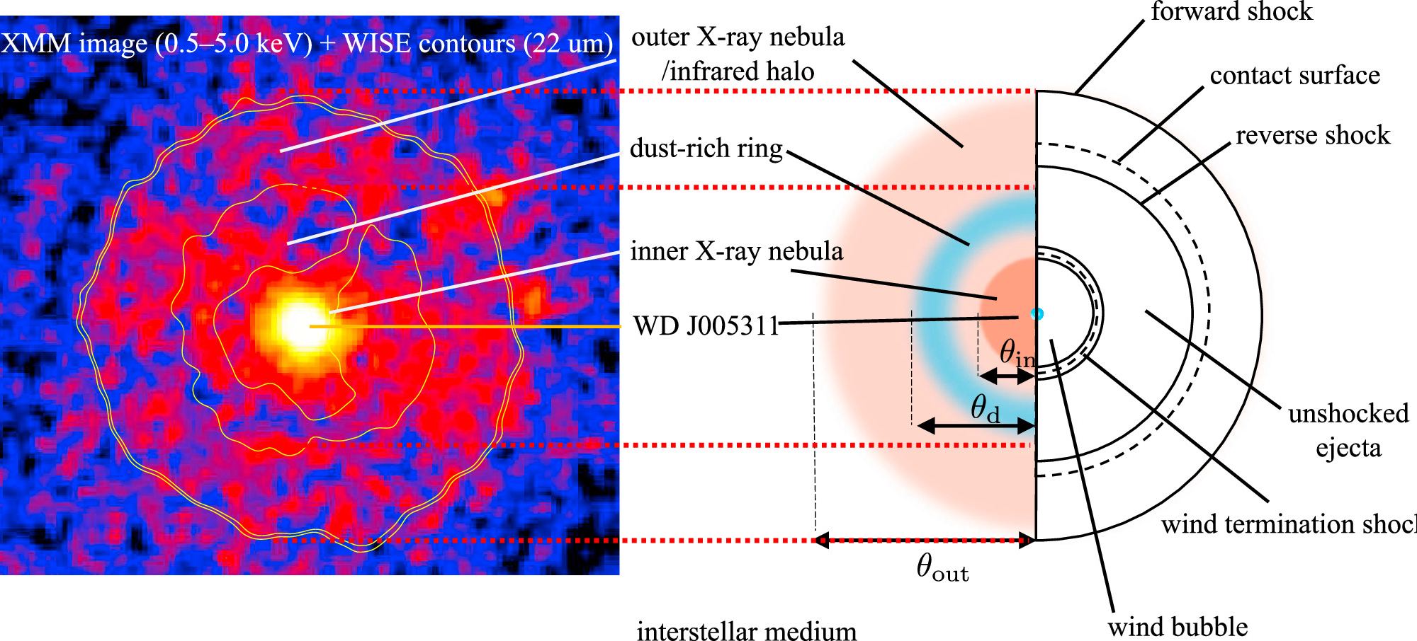 A comparison between the observed XMM-Newton image of the kilonova 1181 with an IRAS-derived schematic of infrared contours (presumably of the dust ring) around the resulting white dwarf. This kilonova occurred when two white dwarfs collided and were observed in 1181. Courtesy Ko, et al, 2024.