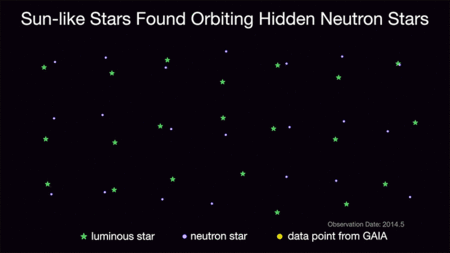 Astronomers have discovered 21 stars like our Sun in orbit around neutron stars (formed in supernova explosions). The European Space Agency's Gaia mission detected this wobble by observing the orbits of the Sun-like stars (yellow dots) for three years. The Sun-like stars are green in this animation, and the neutron stars (and their orbits) are purple. Credit: Caltech/Kareem El-Badry