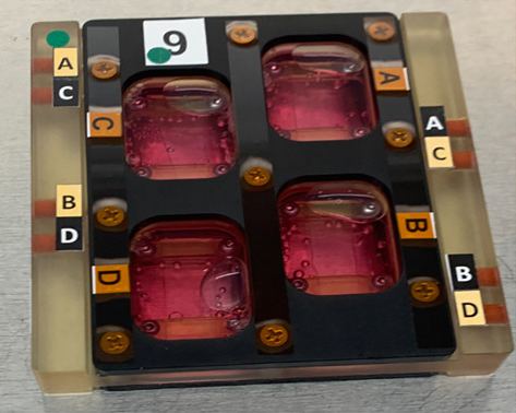 This image shows the "muscles-on-a-chip" experiment. Image Credit: Kim et al. 2024.