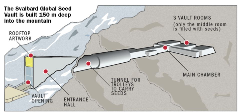 The Svalbard Global Seed Vault has room to preserve 4.5 million types of seeds. Image Credit: Crop Trust.