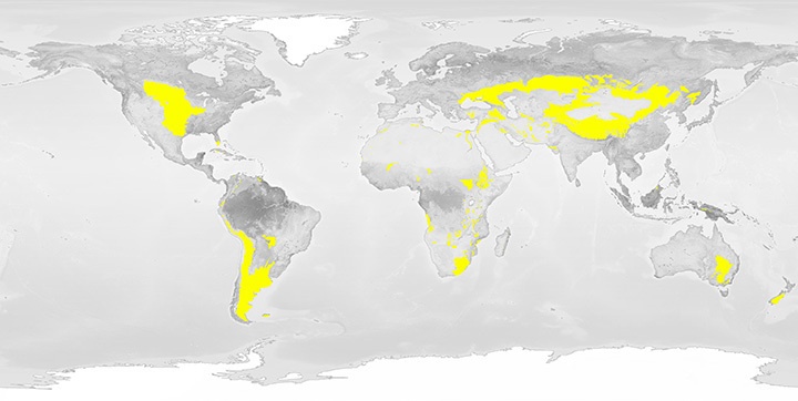 On Earth, grasslands are found on every continent except Antarctica. They're one of the largest biomes on Earth. Image Credit: NASA Earth Observatory