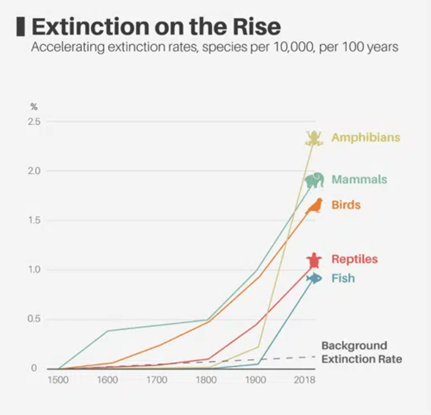 This graph shows extinction rates are rising along with the human population and industrial activity. Image Credit: Earth.org