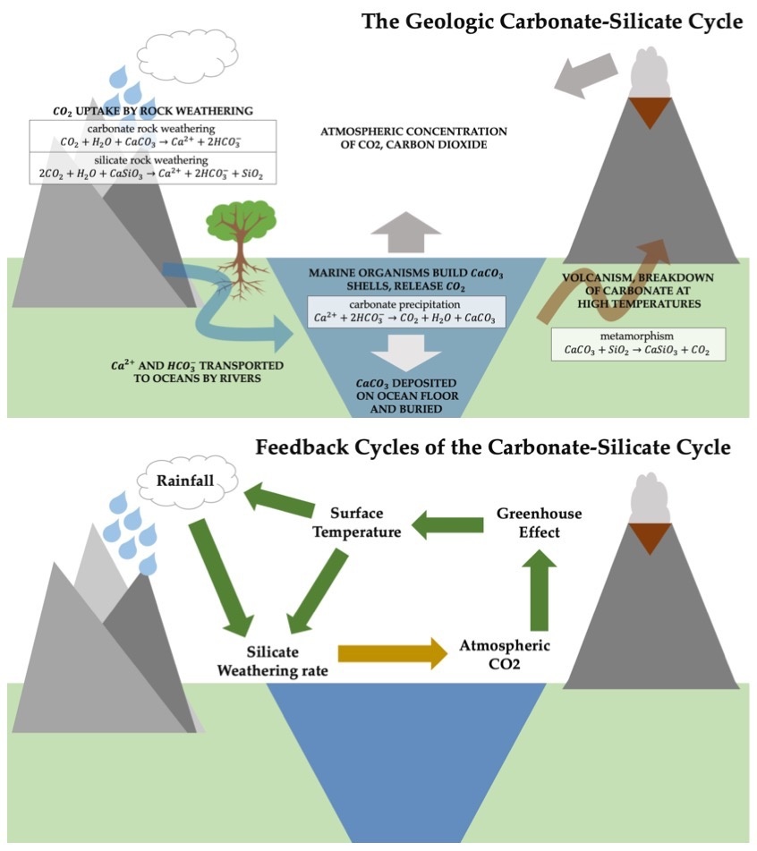 This schematic shows the relationship between the different physical and chemical processes that make up the carbonate-silicate cycle. In the upper panel, the specific processes are identified, and in the lower panel, the feedbacks associated are shown; green arrows indicate positive coupling, while yellow arrows indicate negative coupling. Image Credit: By Gretashum - Own work, CC BY-SA 4.0, https://commons.wikimedia.org/w/index.php?curid=79674633 