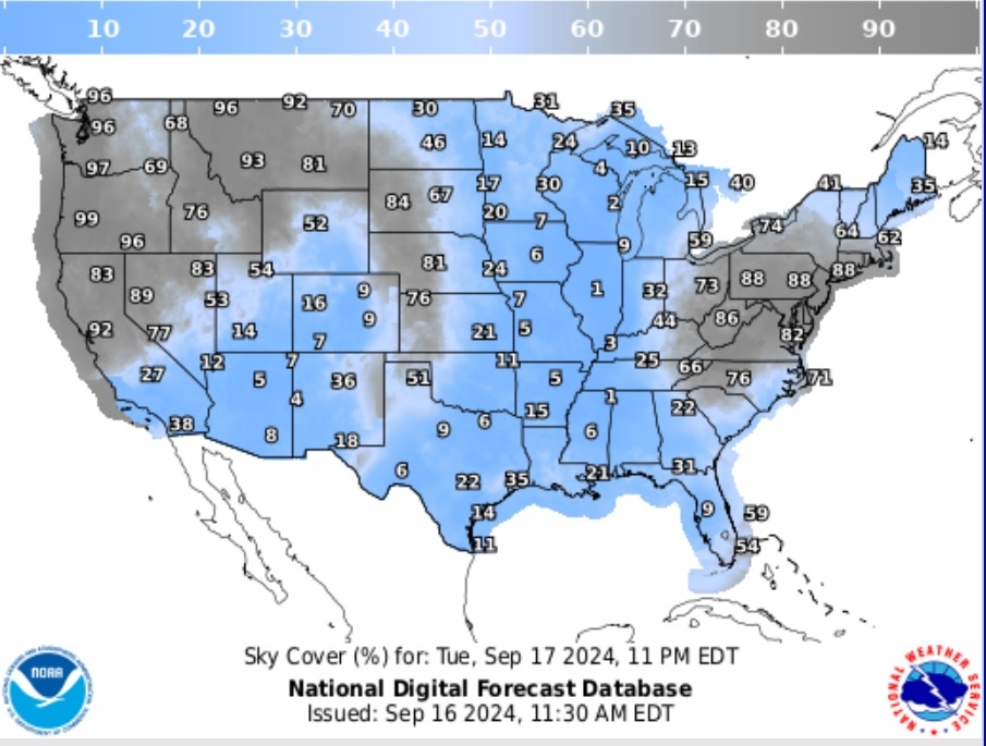 Conus