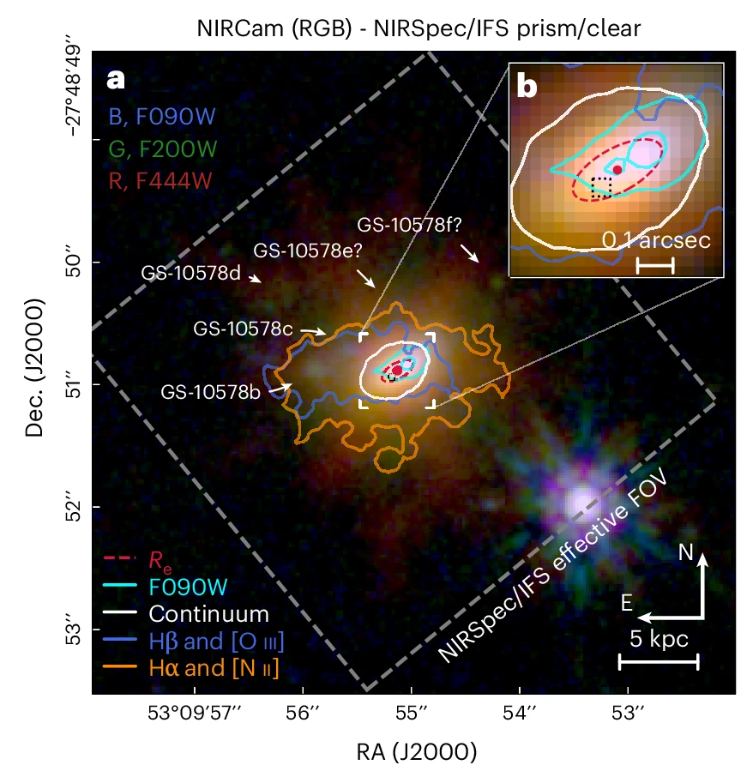 This figure illustrates some of the research findings. It shows Pablo's Galaxy in the middle, with five low-mass satellite galaxies merging. The inset (b) shows detail from the main image. The cyan outline is offset to the northwest and represents the outflow of cold gas that is quenching star formation in the galaxy. Image Credit: D'Eugenio and Maiolino et al. 2024. 