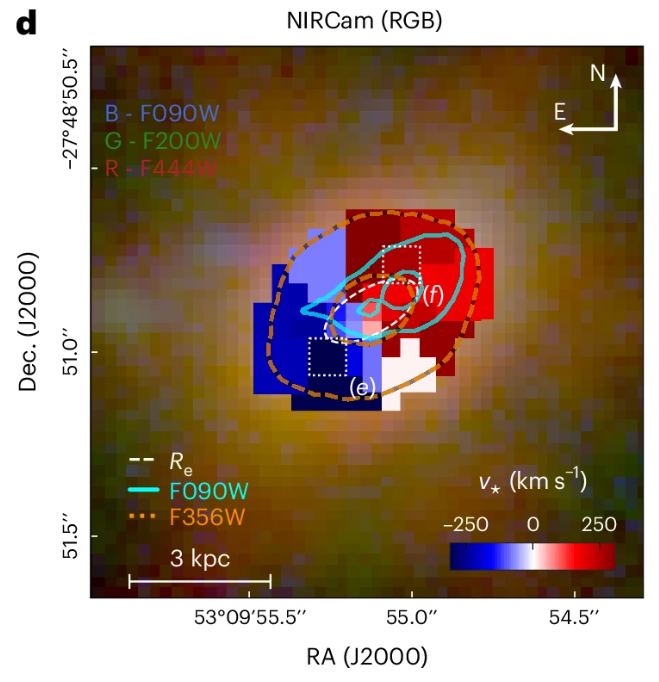 This figure from the study shows the Pablo Galaxy's orderly rotation. The observed velocity difference is because one side is moving away from us and is red-shifted from our perspective, while the other is moving toward us and is blue-shifted. Image Credit: D'Eugenio and Maiolino et al. 2024.