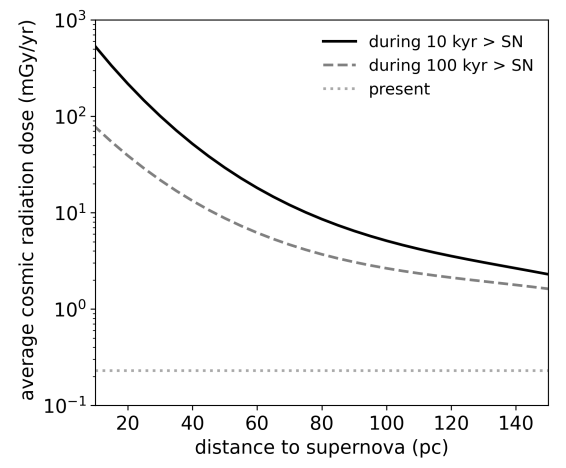 This figure shows the average dose rate experienced at ground level as a function of the distance to the nearby SN. The average dose is calculated over the first 10 kyr (solid line) and over the first 100 kyr (dashed line) after the SN explosion. It's not enough to trigger an extinction, but could've driven species diversification. Image Credit: Nojiri et al. 2024.