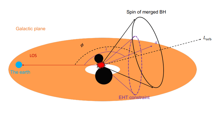 This figure from the research shows how a black hole merger can create a single, more massive black hole with a spin misaligned with the host galaxy. Image Credit: Wang, Zhang 2024. 