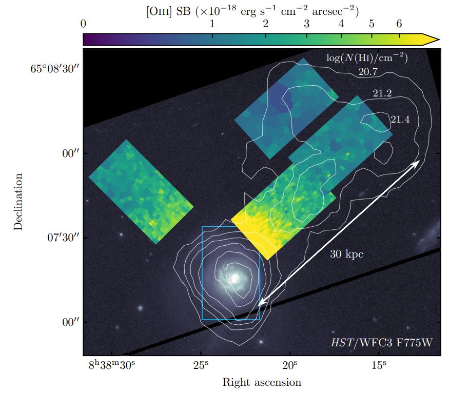 This figure from the research shows the spatial distribution of ionized gas in the CGM at kiloparsec scales. Emission from [Oiii] ?5007 in the CGM of IRAS08 extends to at least 30 kpc from the galaxy center. The blue rectangle represents the field-of-view of the KCWI pointing covering the galaxy disk (emission map not shown). HI contours indicate levels of constant HI column density from the Very Large Array, where a filament extends from IRAS08 towards a smaller companion galaxy 60 kpc away. Image Credit: Nielsen et al. 2024.