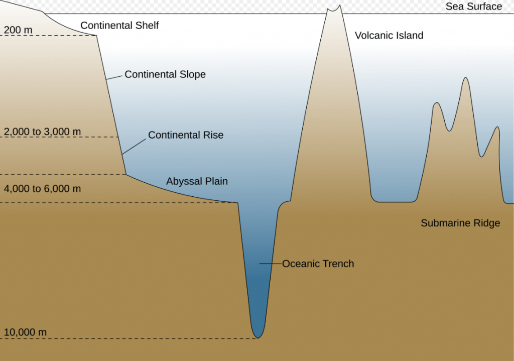 This cross-section of an oceanic basin shows the relationship of the abyssal plain to a continental rise and an oceanic trench. On Earth, 70% of the sea floor is abyssal plain, making it the largest ecosystem on Earth. Image Credit: By Chris_huh - Own work, Public Domain, https://commons.wikimedia.org/w/index.php?curid=1812130