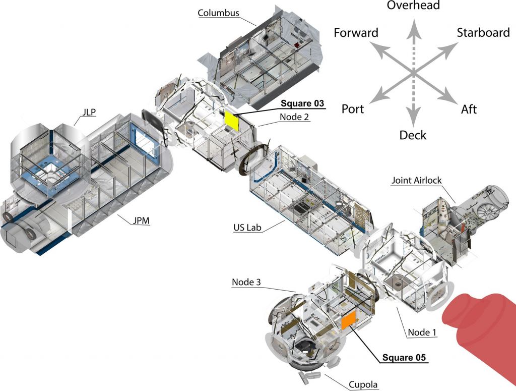 This cutaway image of the International Space Station's US Orbital Segment shows the locations of Square 03 (at upper center, in yellow) and 05 (at lower right, in orange). Square 03 is the maintenance area, and Square 05 is the latrine/exercise area. Image Credit: Walsh et al. 2024.