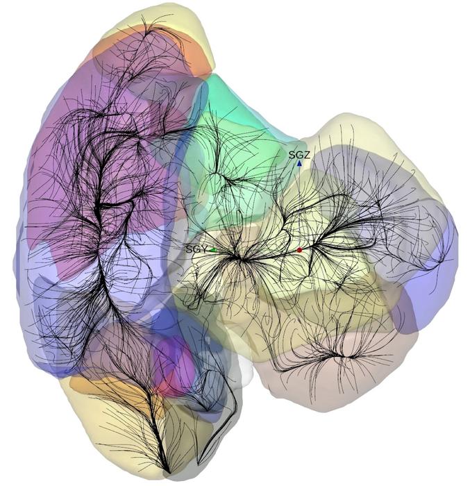 A visualization of the density distribution of galaxies in the universe.