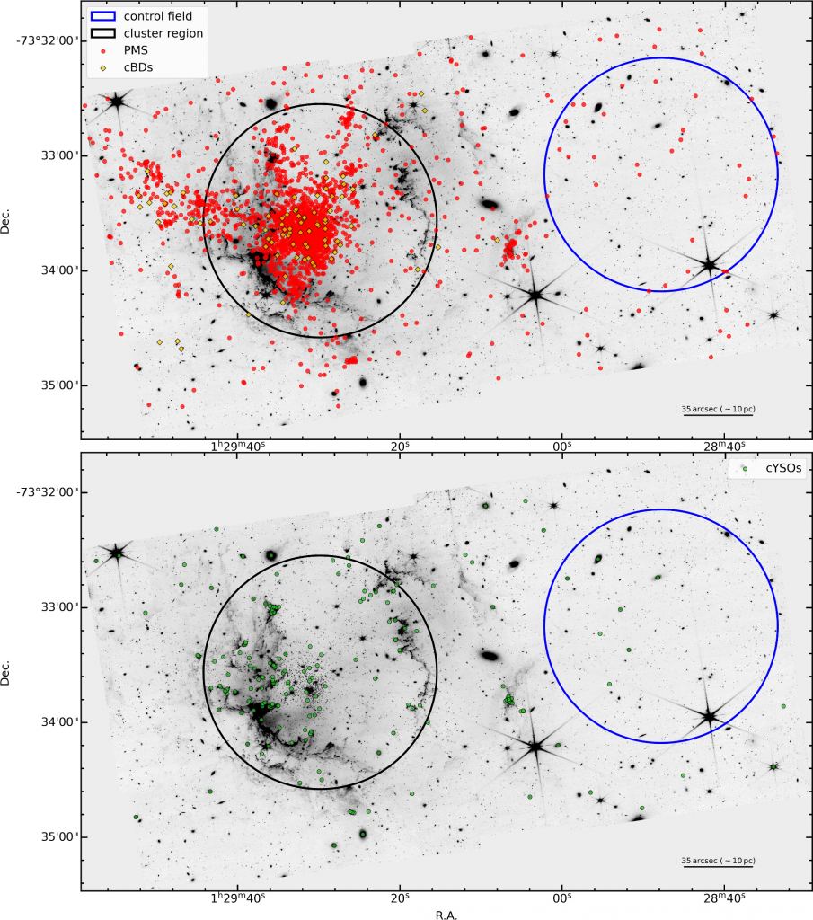 These figures from the research illustrate some of the observations. The black circles show the region of the NGC 602 cluster, while the blue circles show the control field. The top panel shows pre-Main Sequence (PMS) stars in red circles, while the candidate brown dwarfs (cBD) are shown in yellow diamonds. The bottom panel candidate young stellar objects (cYSO) in green. PMS stars and cBDs have the same distribution, while the cYSOs are mainly located on the gas and dust ridges. Image Credit: Zeidler et al. 2024.