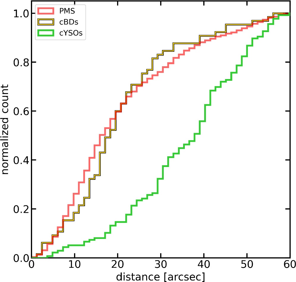 This figure from the research shows the radial distribution of the PMS stars (red), candidate Young Stellar Objects (green), and cBDs (yellow) within the inner 60'' from the cluster center. The main sequence stars and brown dwarfs are co-located and similarly distributed, while the YSOs are less concentrated in the center of the cluster. Image Credit: Zeidler et al. 2024.