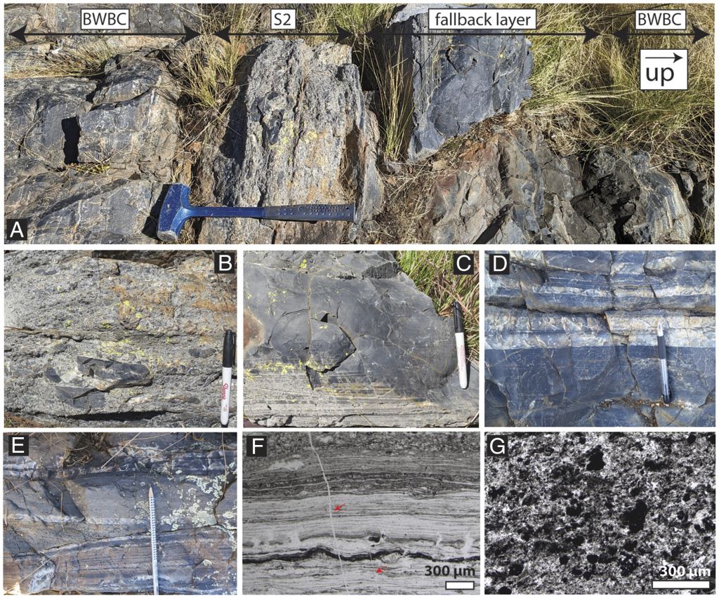 This figure from the research shows some of the rocks the team worked with. (A) is an overview of the Umbaumba section showing, from base to top, black-and-white banded chert (BWBC), S2, fallback layer, and BWBC. (B) shows the S2 spherule bed, (C) shows fine laminations in the fallback layer, (D) shows the BWBC below S2, and (E) shows alternating siliciclastic and siderite-rich chert beds. (F) shows laminated carbonaceous chert below S2 in the Umbaumba section. Red arrows indicate fractures filled by chert. (G) shows clots of carbonaceous matter and other siliciclastic debris from the fallback later in the Umbaumba section. Image Credit: Drabon et al. 2024.