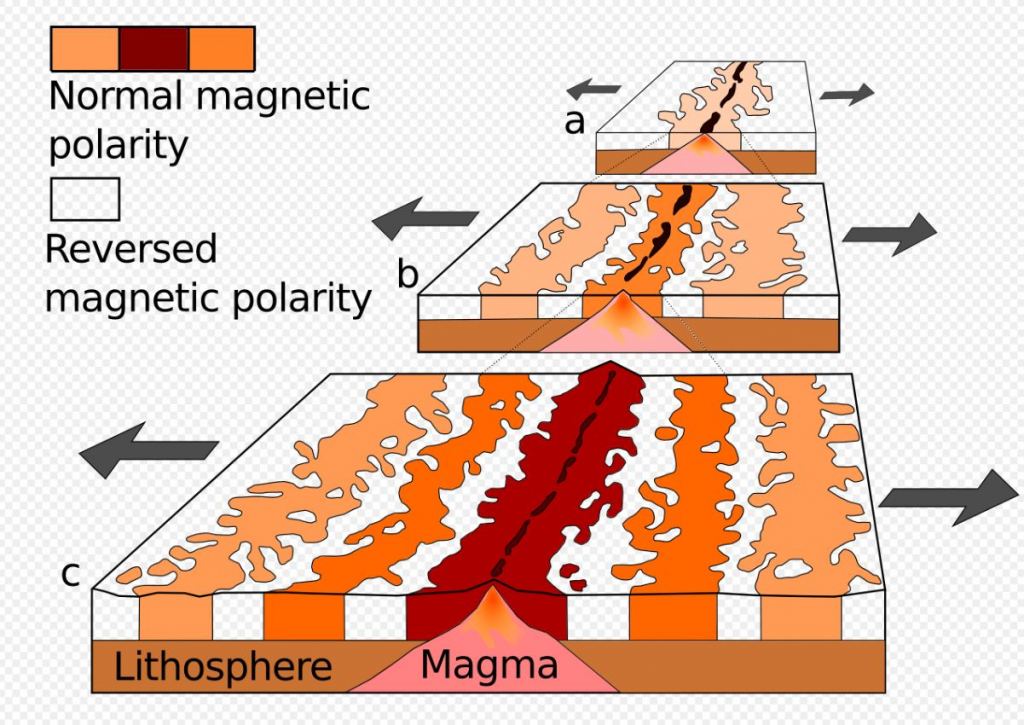 Magnetic stripes are the result of reversals of the Earth's field and seafloor spreading. The new oceanic crust is magnetized as it forms and then moves away from the ridge in both directions. This diagram shows a ridge (a) about 5 million years ago, (b) about 2 million years ago, and (c) in the present. Image Credit: By Chmee2 - derived from File:Oceanic.Stripe.Magnetic.Anomalies.Scheme.gif, Public Domain, https://commons.wikimedia.org/w/index.php?curid=18557170