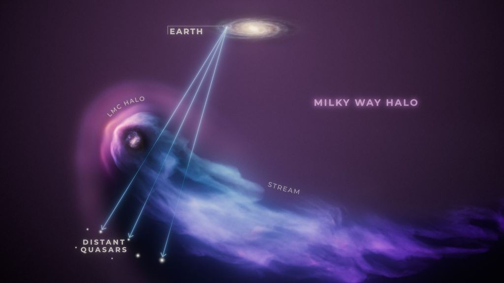 The Large Magellanic Cloud Survived its Closest Approach to the Milky Way