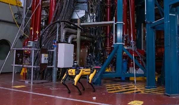 The Boston Dynamics Spot robot spent 35 days working autonomously on the Joint European Torus. Here, Spot is inspecting wires and pipes at the facility at Culham, near Oxford (Image Credit: UKAEA)