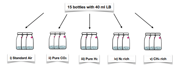 Atmospheric composition of test bottles