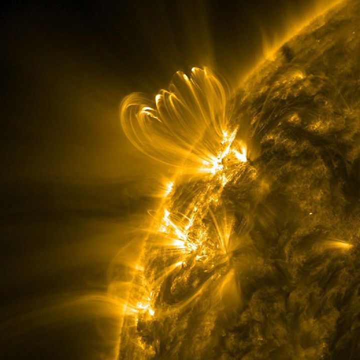 Coronal Loops Flicker Right Before the Sun Unleashes Big Flares