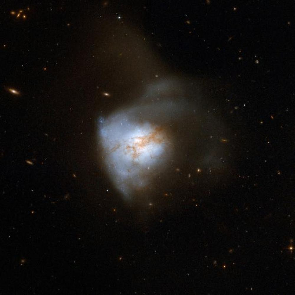 Magnetic Fields' Role in Star Formation in Arp 220