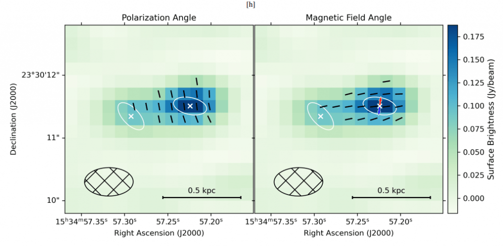 This figure from the study shows the polarization angle on the left and the magnetic field angle on the right. "We detect polarized dust emission in Arp220 for the first time, with a peak polarized flux intensity
of 2.7 +/- 0.45 mJy close to the position of the western nucleus," the authors write. The ellipses represent the rotating molecular disks, with the white crosses representing the positions of the nuclei. Image Credit: Clements et al. 2025.