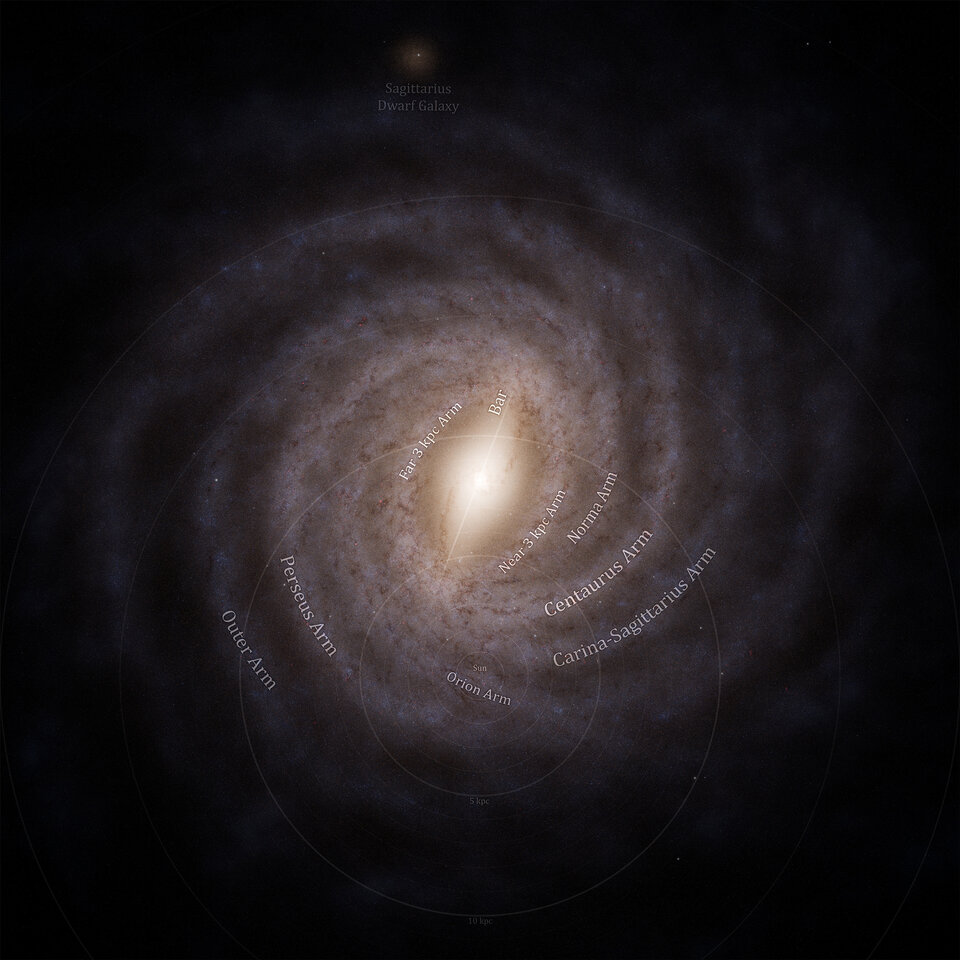 A model image of what our home galaxy, the Milky Way, might look like face-on: as viewed from above the disc of the galaxy, with its spiral arms and bulge in full view. In the centre of the galaxy, the bulge shines as a hazy oval, emitting a faint golden gleam. Starting at the central bulge, several glistening spiral arms coil outwards, creating a perfectly circle-shaped spiral. They give the impression of someone having sprinkled pastel purple glitter on the pitch-black background in the shape of sparkling, curled-up snakes. Image Credit: ESA/Gaia/DPAC, Stefan Payne-Wardenaar