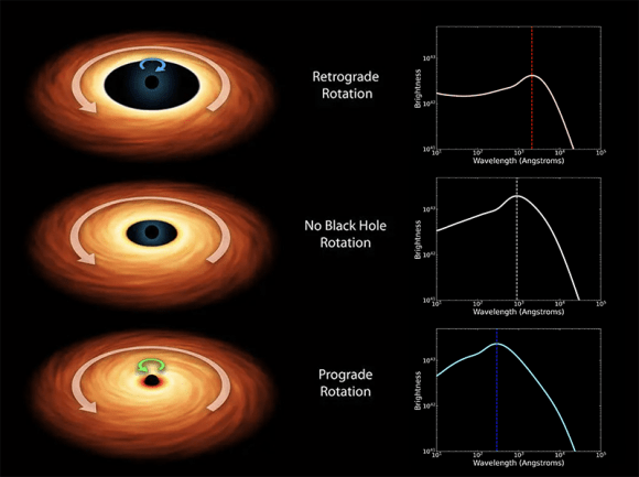 Examples of black holes and accretion disks with various spin configurations: retrograde (black hole rotates in the opposite direction as the accretion disk), zero spin (does not rotate), and prograde (black hole rotates in the same direction as the accretion disk) from top to bottom, respectively. Examples of spectral energy distributions (SEDs) for each spin configuration are shown to the right of each cartoon with a vertical line drawn at the peak of the SED. The differences in the peak of the SEDs and how bright they are for different spin configurations demonstrate how astronomers measure black hole spin by fitting these models to observational data. (Contributed image using NASA illustrations)