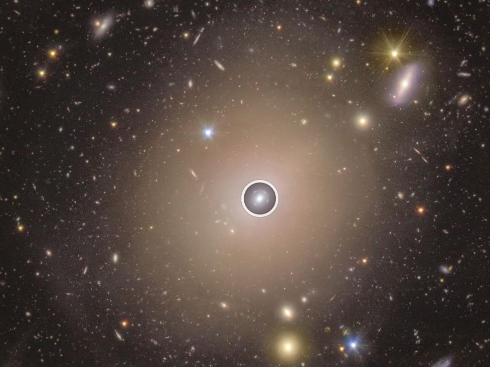 The Euclid Space Telescope Captures a Rare, Stunning Einstein Ring