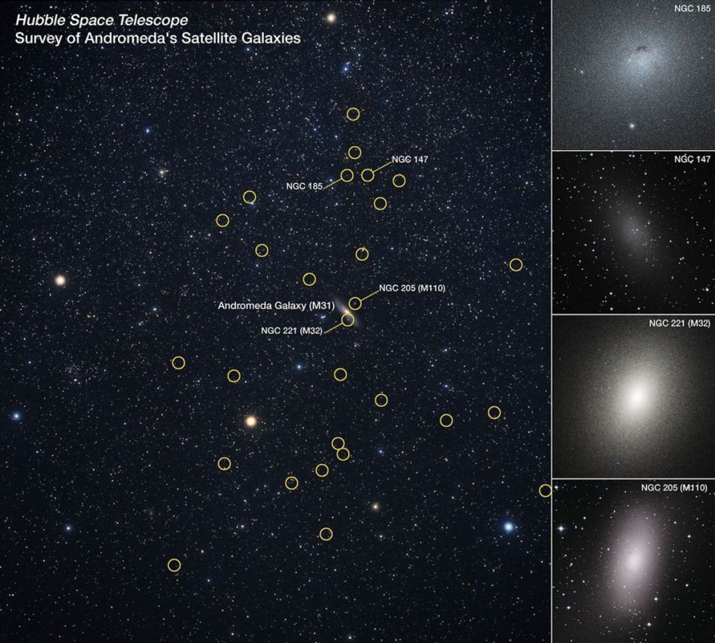 Andromeda’s Dwarf Galaxies Reveal Unique Star Formation Histories