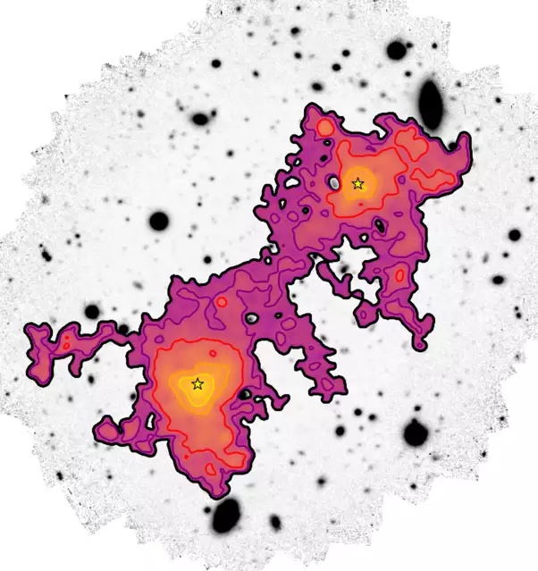 Our Best Look at the Cosmic Web