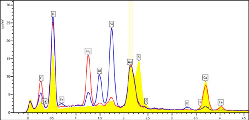 This is a Scanning Electron Microscope and Energy Dispersive X-ray (SEM-EDX) spectrum of the same area. Red shows the predominant mineral, blue shows clay minerals, and yellow shows the inner layer of the fossil filaments. Image Credit: Sellam et al. 2025.